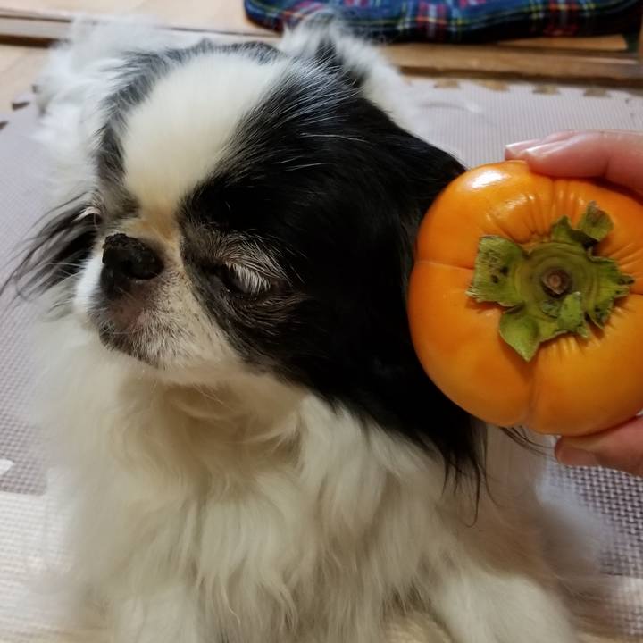 00222d34 30db 4b3c b38b 8db236423485 1540550557710