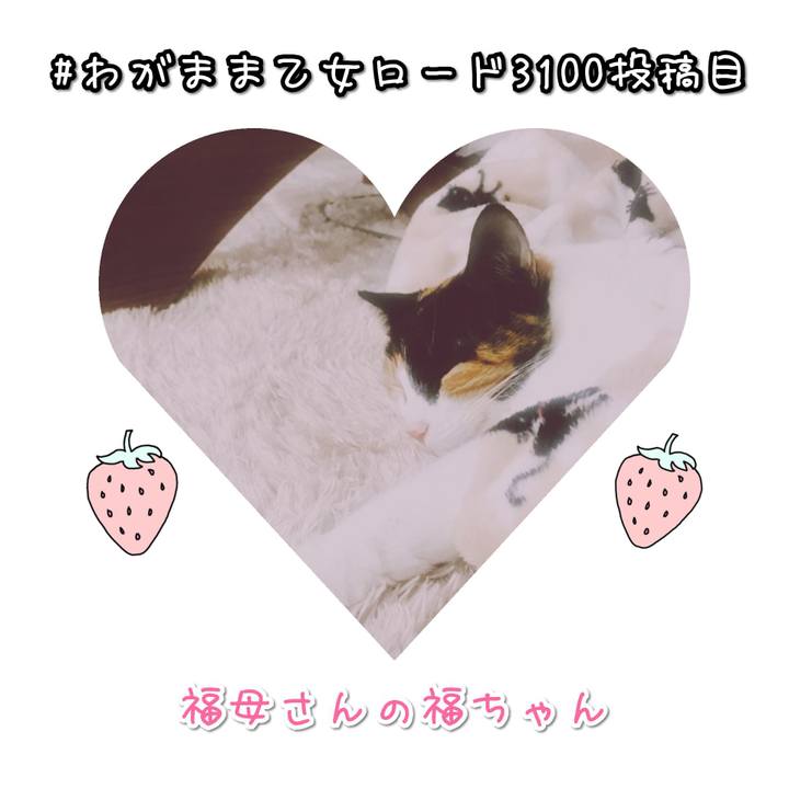 002258df da44 4bf0 b69a b302a2aad68b 1585304017895