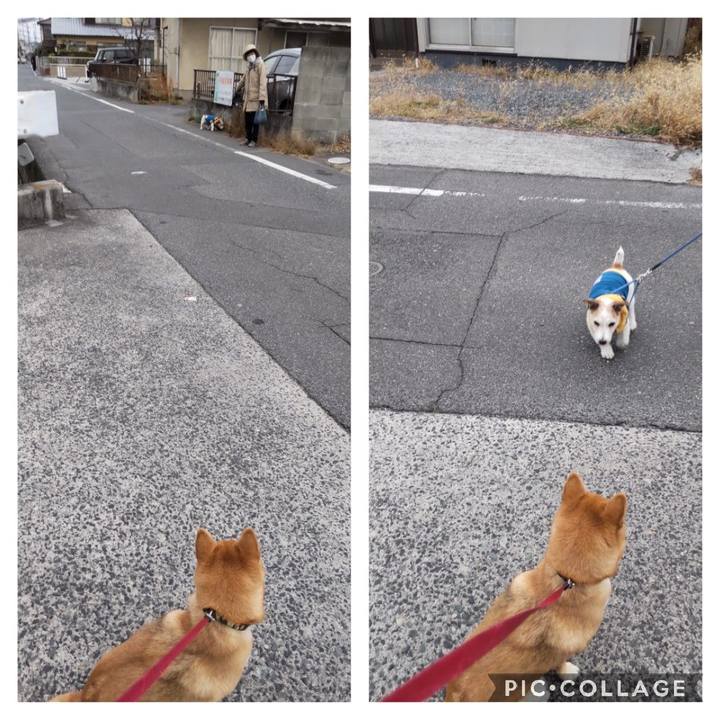 0022726a cb59 439c ac33 6535684d1f0b 1671260621698