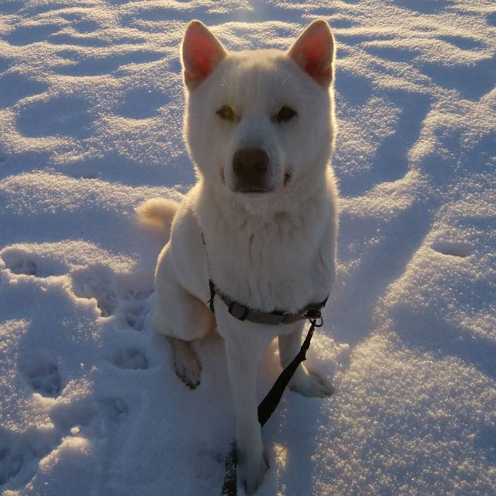 002281db 4a09 47f0 be1a 0804286b8321 1610539102128