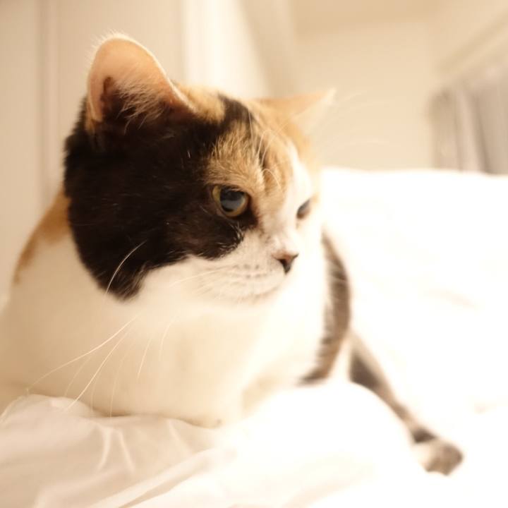 0022935f 5ced 4914 bd85 6099205c0e48 1511765956953