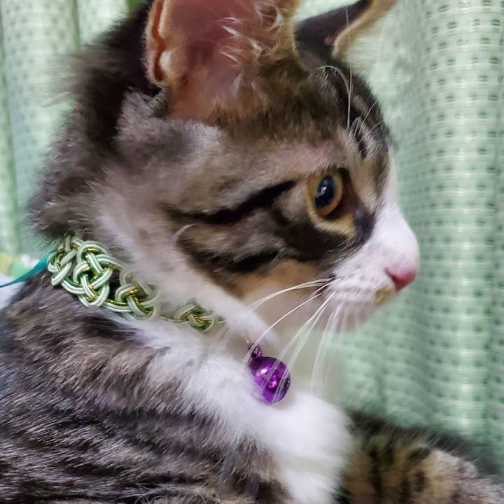 00229f51 45e5 4f71 b154 05b813ca4968 1631325822958