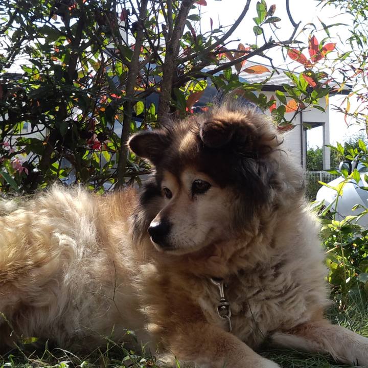 0022a88b 2888 4bba beb2 4461d353cb23 1573953200061