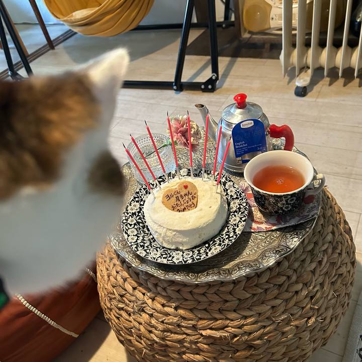 0022ab80 ffe2 4cfe b01e ebc0c2d8cda8 1715662321000