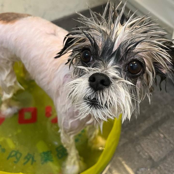 0022f0b1 883e 49fa aac0 bdad28b6b5a1 1661571178349