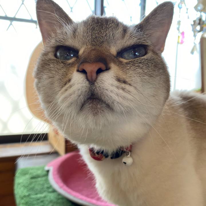 0022fb15 1990 4819 a747 25112a6995d2 1590295223329