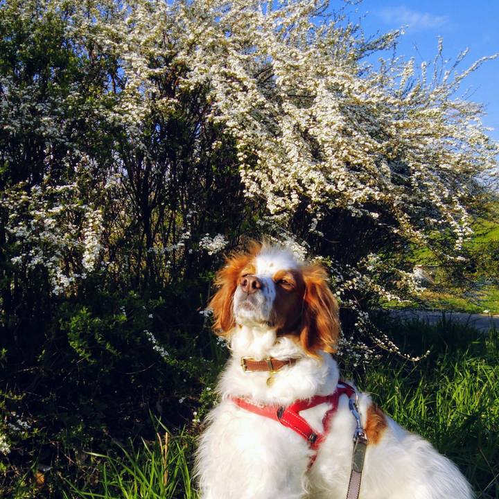 0023174d d217 43d7 b01a 9ccc8cfc139d 1553385789638