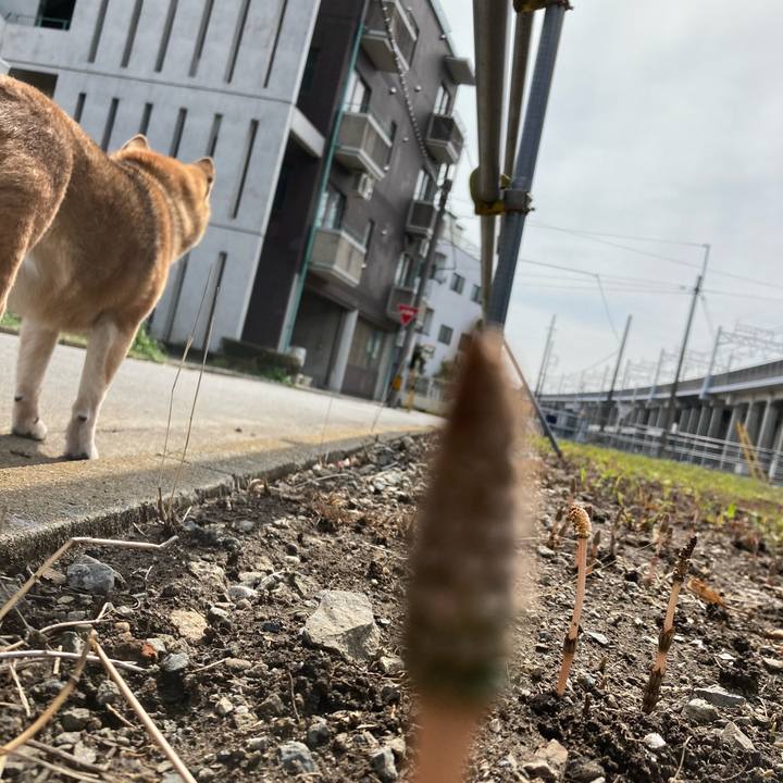 002317c7 01e5 4437 9dab 7c3dbb7150ad 1648014647527