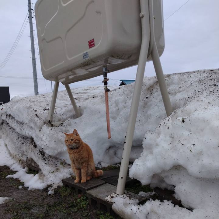 00235512 168e 45a8 b92d 2c3b2f7f3d36 1673736247766