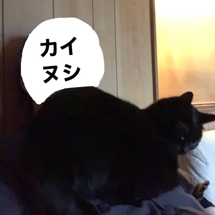 00239807 e4b6 44b6 af7b 234359f5f625 1729313656050