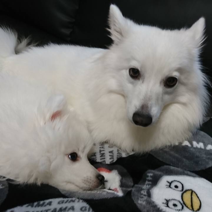 0023b22d dbb9 4788 8efa 2a9f718b58d5 1546176904806