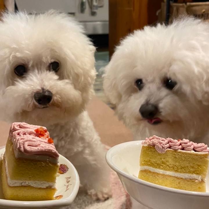 0023b925 105e 4bda bd4b d3f429248867 1662294380340