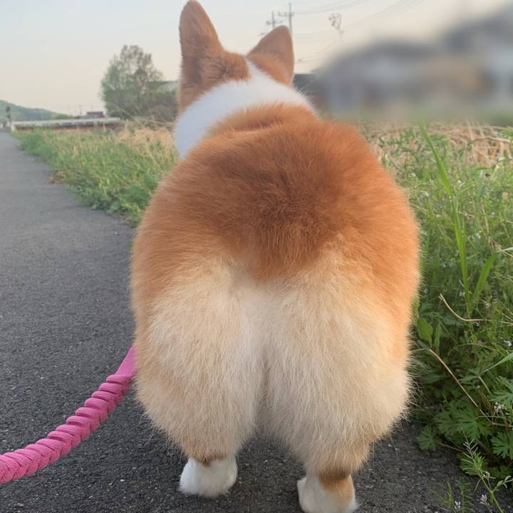 0023f724 e448 4fa0 a7c8 c72bc024cc72 1681203807602