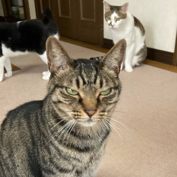 002402a7 41f0 4168 b47f 9df55f0c45a9 1624520405729