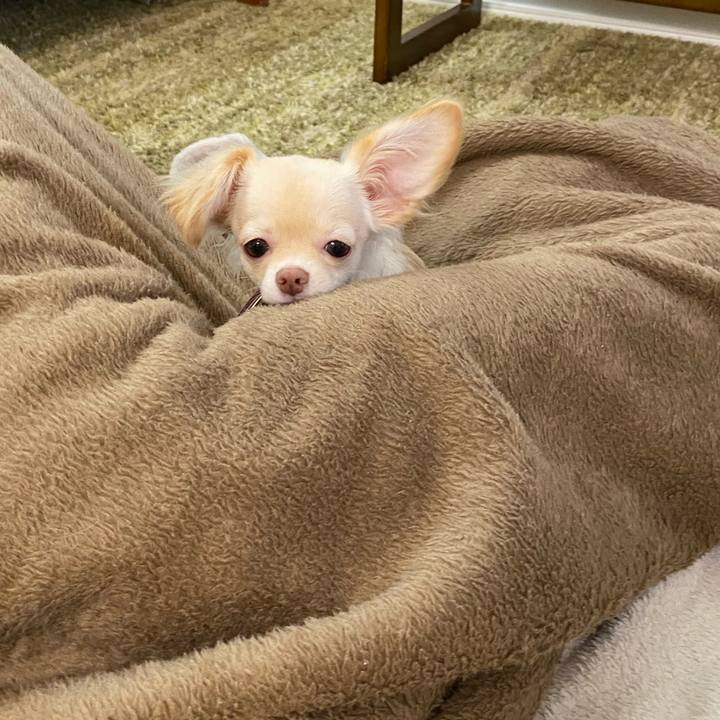 00244b34 d44a 4e43 9d9a 323fc2b90ee0 1594863879399