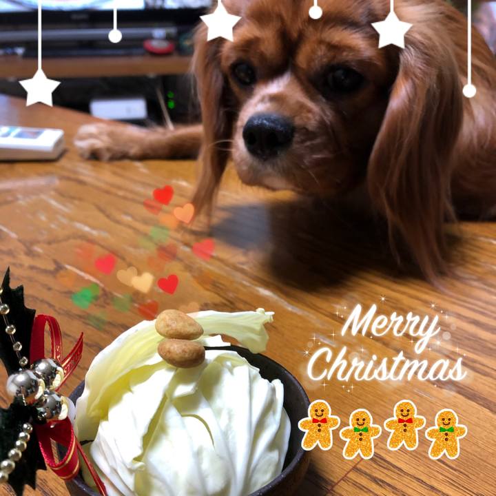 00245d0e 5267 465f be30 0545c98d4d0a 1545648778580