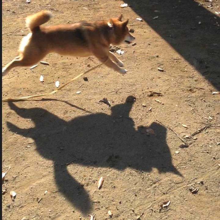 00247d62 b056 408e a710 8d84b2a0e796 1513829721426