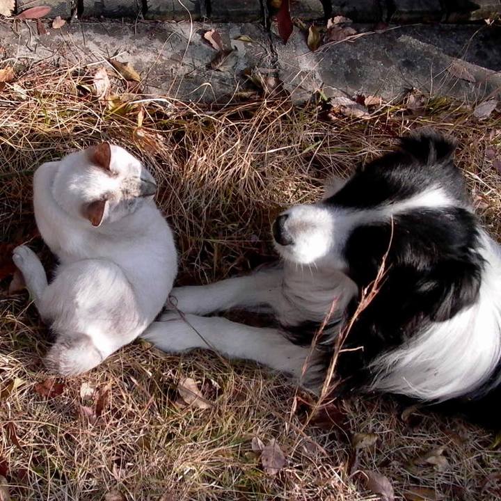 0024a7c9 65b5 4f67 81ad 84838ddff30c 1616156720034