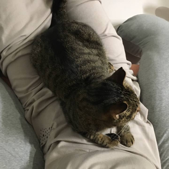 0024b5da 004f 4483 8c23 a68b3ee2e8e3 1561824971527