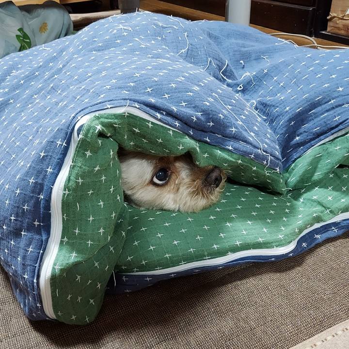 0024c560 3beb 4d25 a349 0065fea21dae 1627475950141