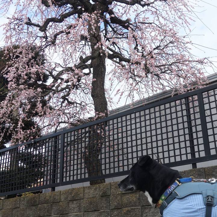 0024c9a4 1a1e 4009 a2fa bf0e77b51dcd 1707355572532