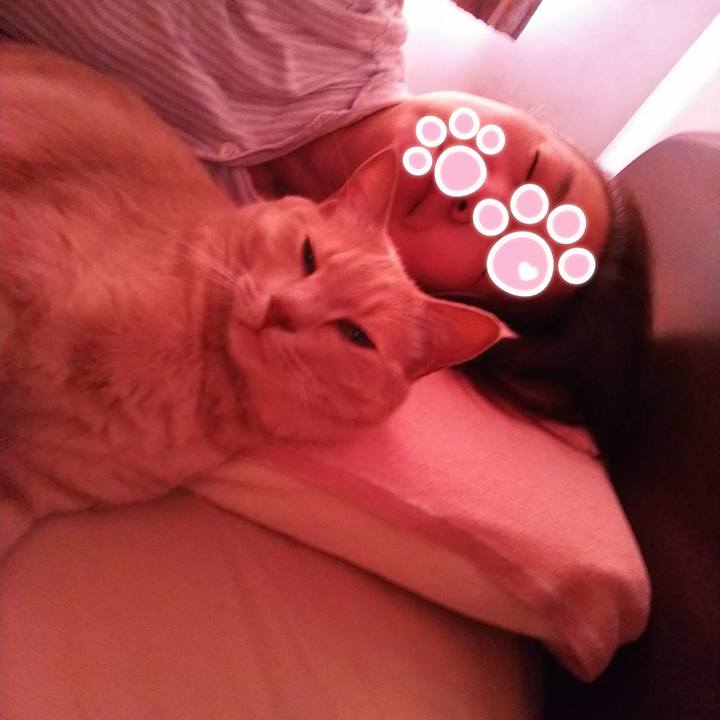 0024d7dd f88d 47fe 850d 1600b67d0d32 1655600213480