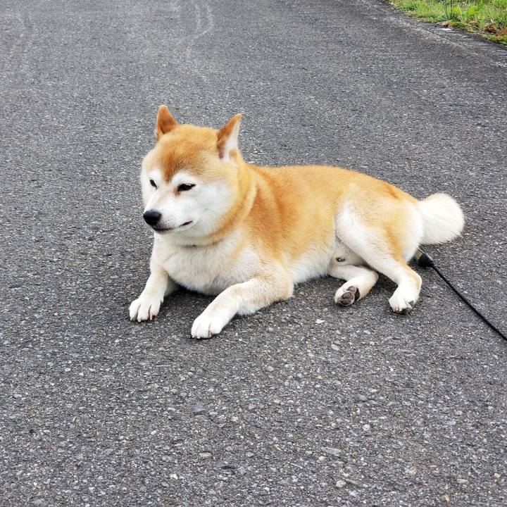 0024e42c 9fe2 46fd 89e9 0c0cda559494 1561784055062