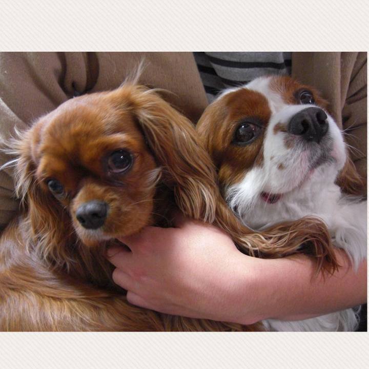 0024f969 b151 48e9 b6be 3a04cdbaec62 1614937706558