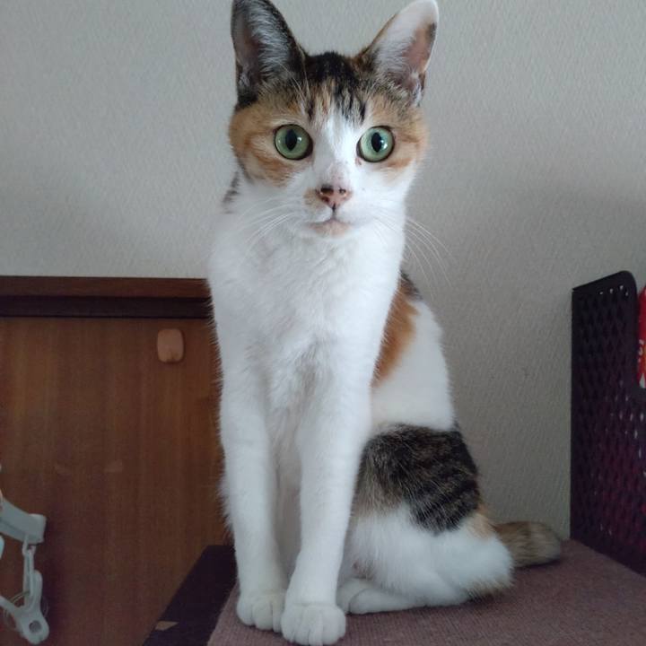 00253688 0b40 4296 9aec 9f73919581b1 1690245397888