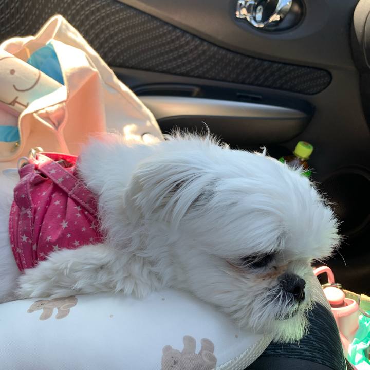 0025411d 3246 44fa 9190 ab0eec2fa762 1717564160151