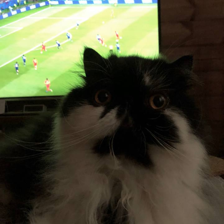 00254448 41e5 402d aeba 483ec27fc2d0 1530608830626