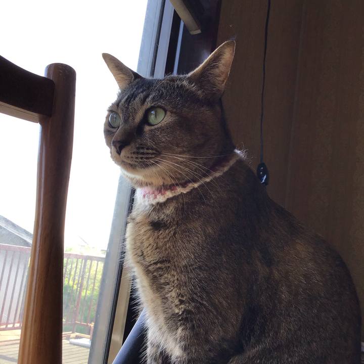 00254cc0 50e7 451b af40 b7d265f1f363 1650921975867