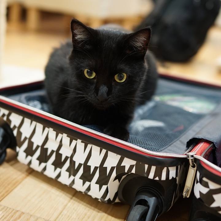 002559b2 b8dd 428e 8487 51bc5f8856f5 1565706472604