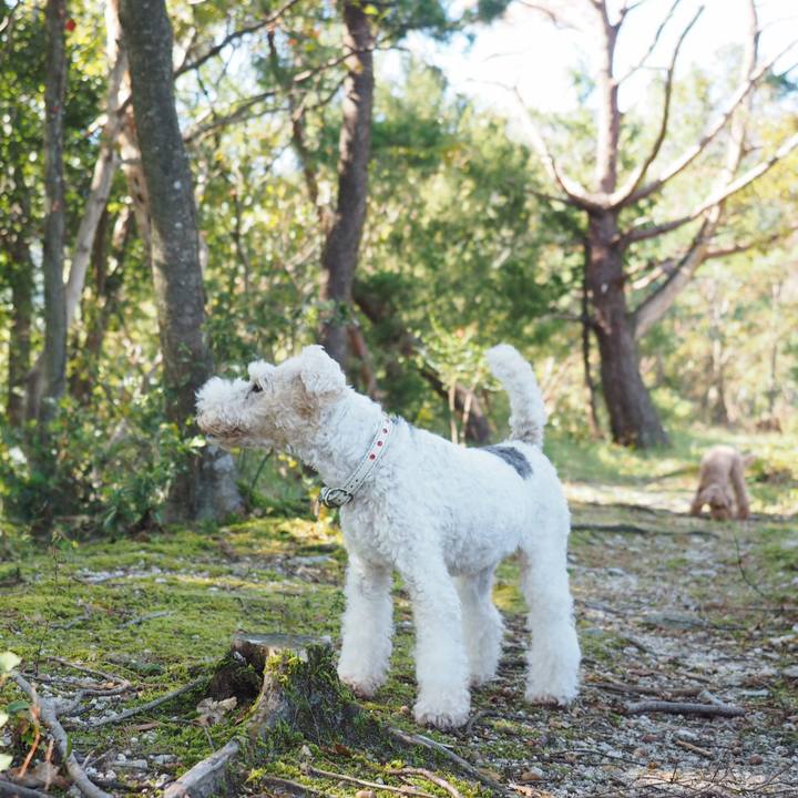 00255d78 9a38 4278 bcb4 35afacc8a873 1573275514602