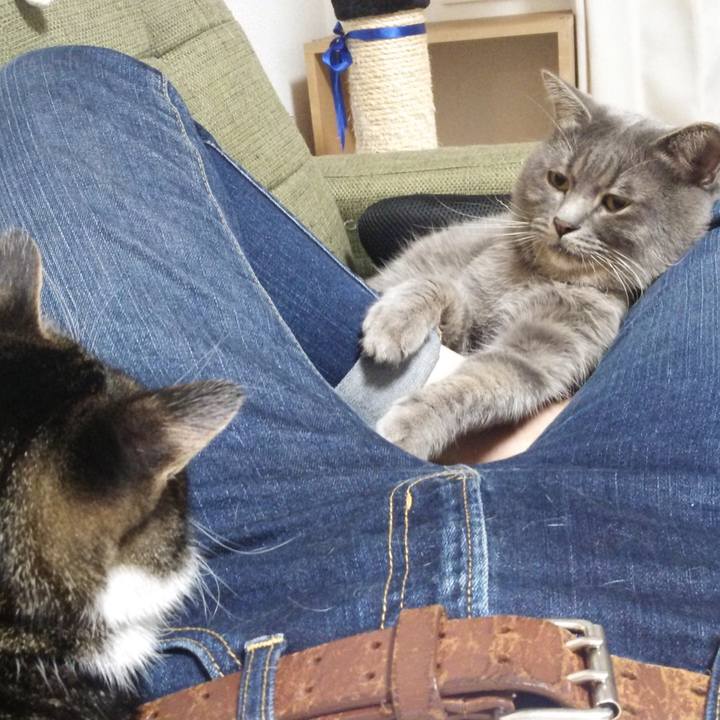 00258909 5f30 439a 9495 2392962852b4 1542496504754