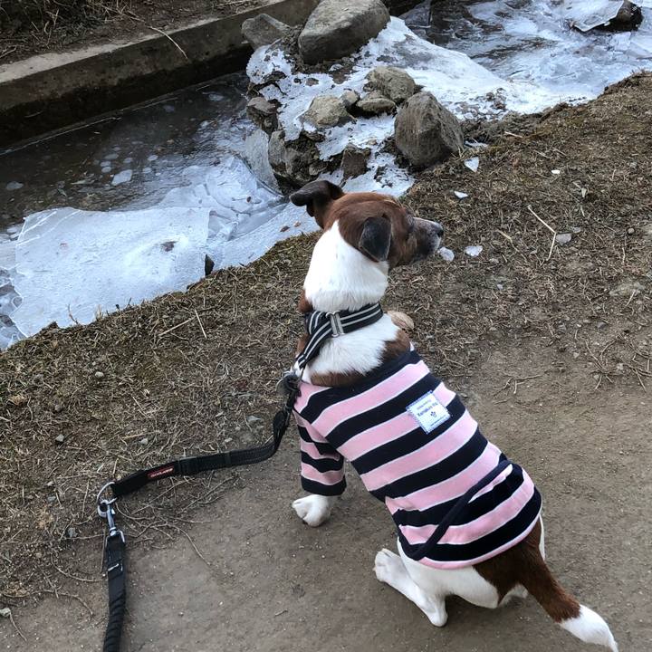 00258a75 afce 4472 b3ee 4f8d3bf28a85 1610409213468