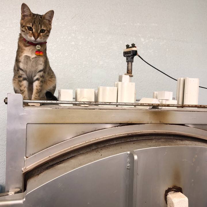 0025b27f b276 4481 a500 6845e080bc9d 1584243429654