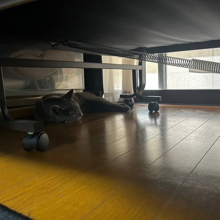 0025e14b 6217 46c9 be8b 3ee1d5d2c070 1689036185394