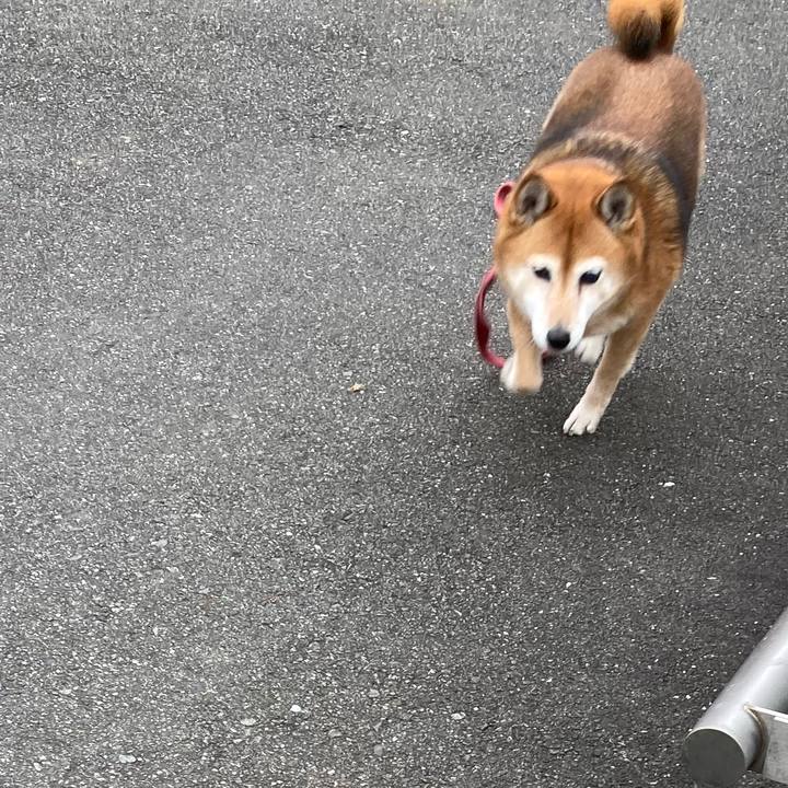 002614fc 86fc 4c11 965e d4320c37626a 1638777195942