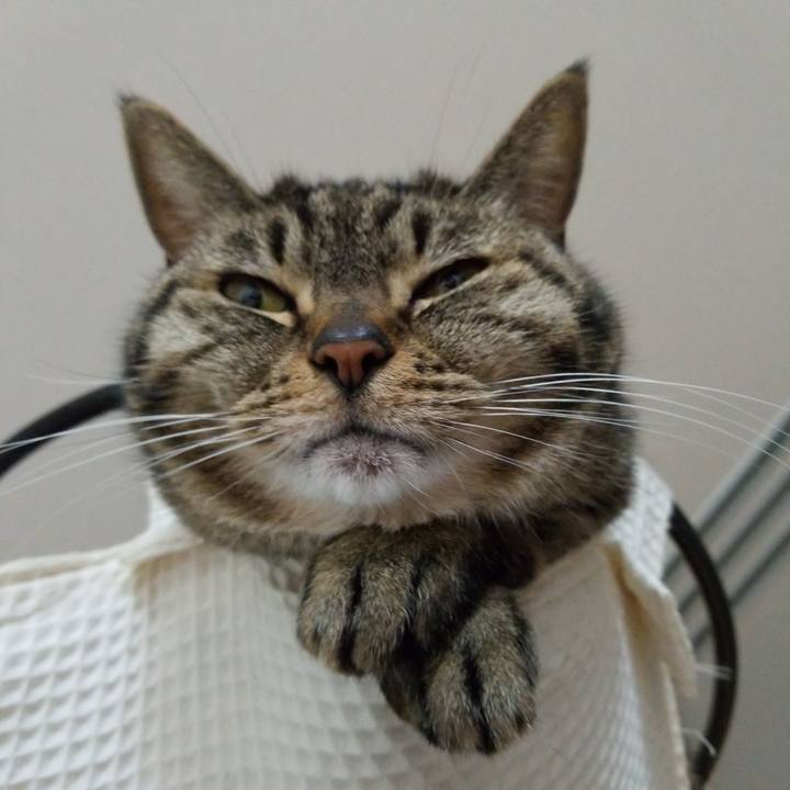 002627b3 1737 4a5a 80e1 adff34d67caa 1595495583596