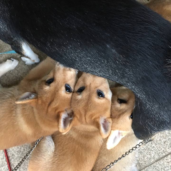 00262b45 0db3 445c 8225 996653201f49 1527202830299