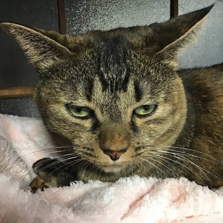 00268aa0 1c8f 49f3 8a4e 2aa75198e275 1758439711858