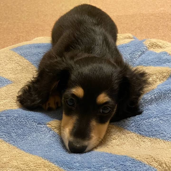 0026c440 c346 41de 9a6a 03eaf994d152 1665968540724