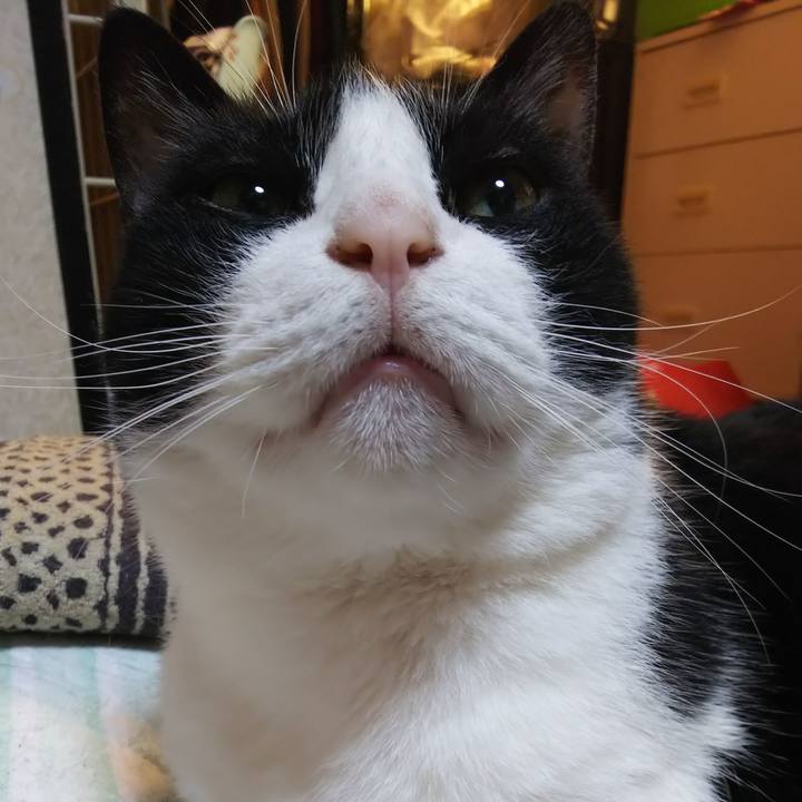 0026c77f 6dc1 4615 afc7 4f4ff5d9f1c5 1559252545874