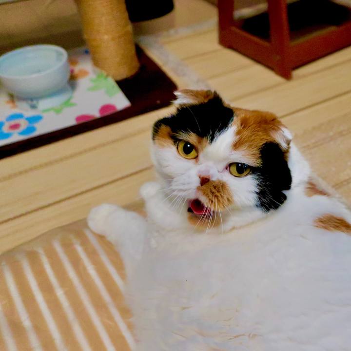 0026f15d c861 48f4 81cd 87ce2956cbde 1656288393592