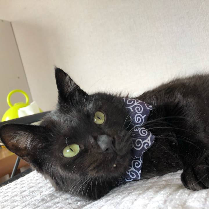 00270d44 0de5 4c2d 80b9 feed71b250ba 1586567337100