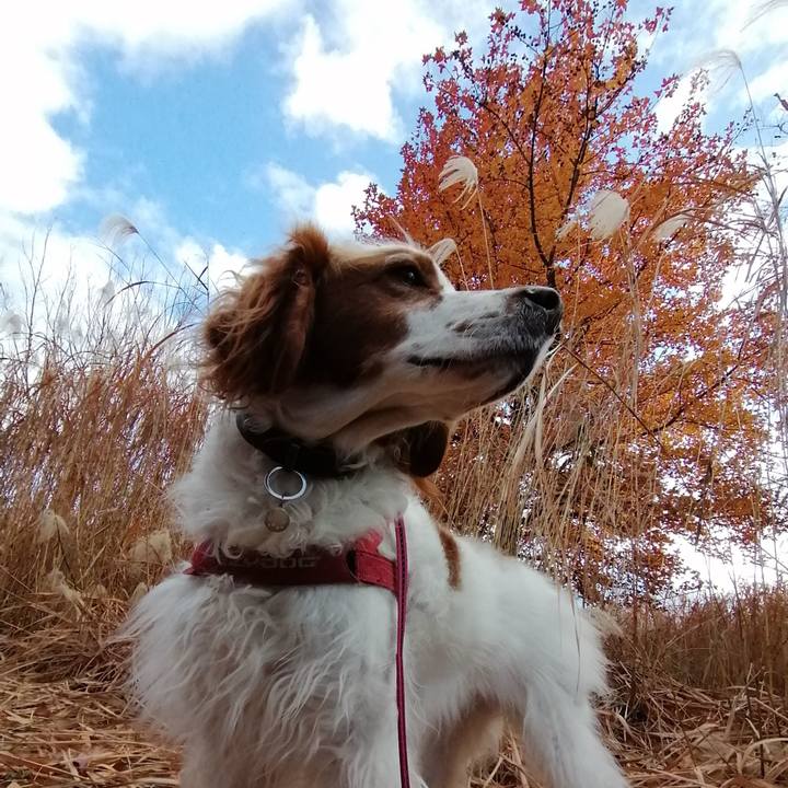 002724b2 363c 4f51 b80a 0a3d875a3905 1608378222338