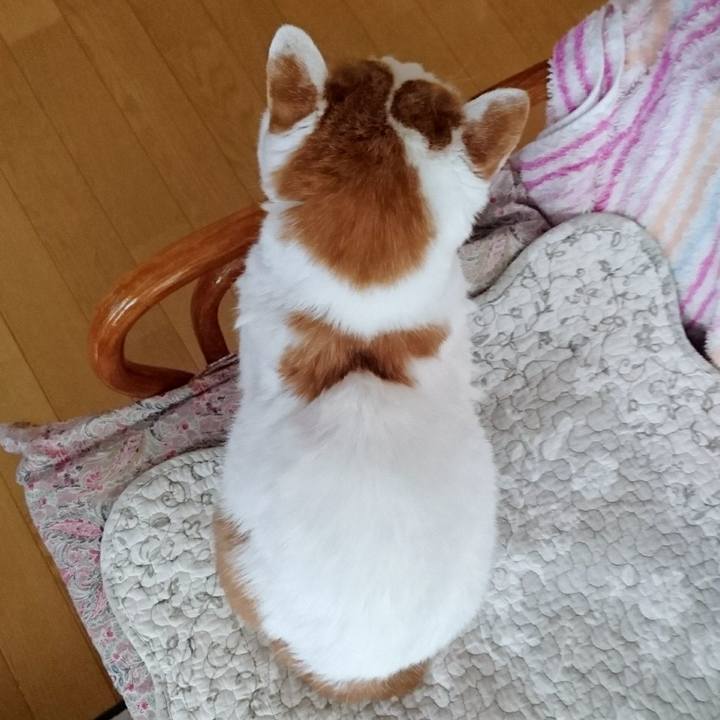 002749b3 2606 4a03 9c42 5ffd91fa33d5 1638616489526