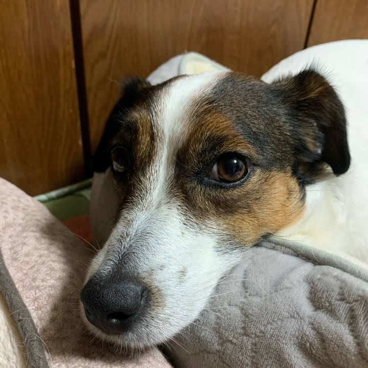 002776c8 aff6 4772 9eff aecf9921c19a 1588244815911