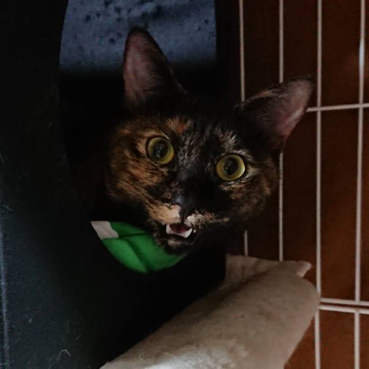 00277fbd 259d 44b4 b89e ff6f89625895 1572525919259